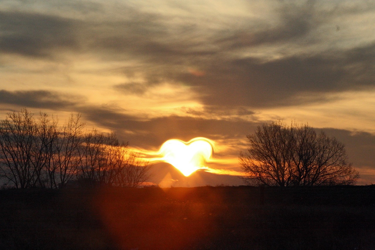 Liefdesreis