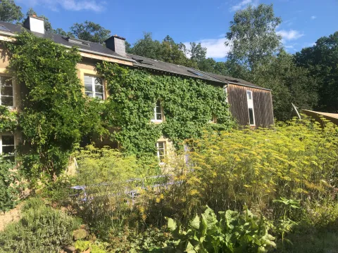 Bois-le-Comte